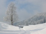 Garmisch Schneelandschaft